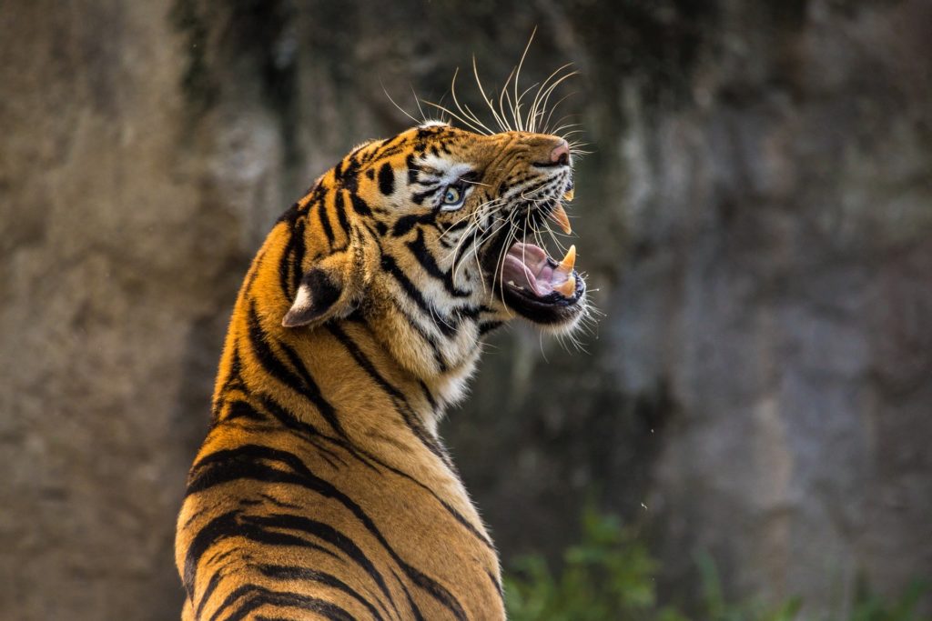 Image | How to Stop Fear from Stealing Your Confidence and Inner-Security | Directions 4 Wellness How to Stop Fear from Stealing Your Confidence and Inner-Security image