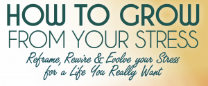 Sara Regester Sara Register Shamanic Teacher and Life Coach image