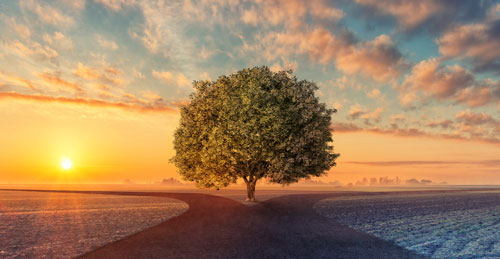 programs Leadership, Self Improvement and Personal Development Programs That Will Transform Your Life image