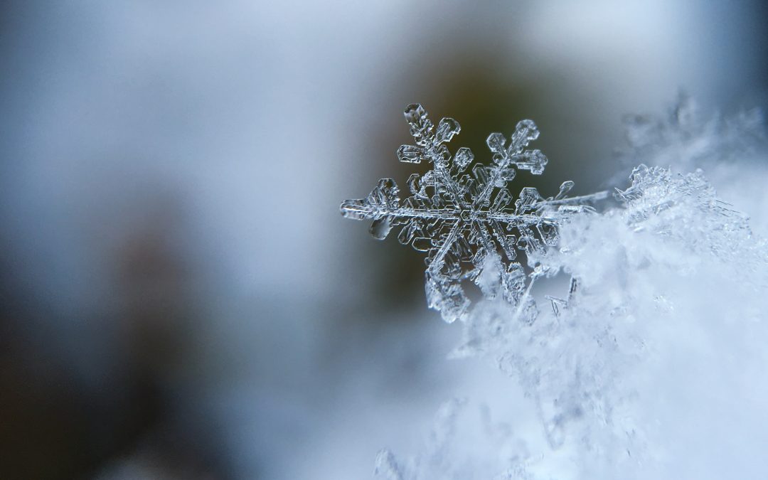 Holiday Preparations Compete with Dreamy Winter Solstice Time