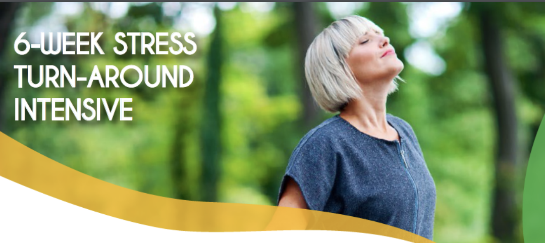 6 Week Stress Turn Around Intensive