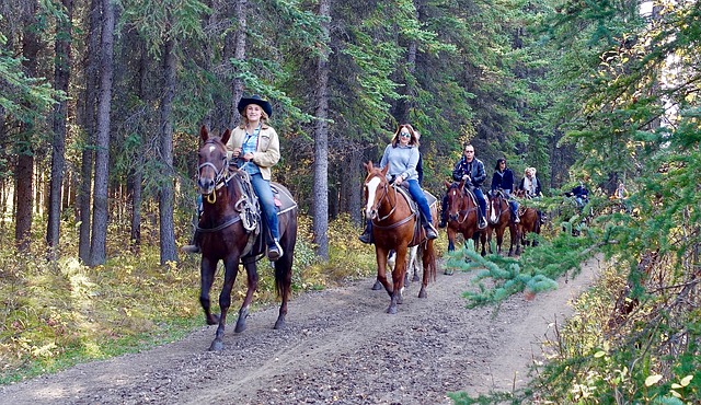control vs no control Image | Secret to Success When You Are in a Control vs No-Control Battle | Directions 4 Wellness women riding horses on a trail having no control