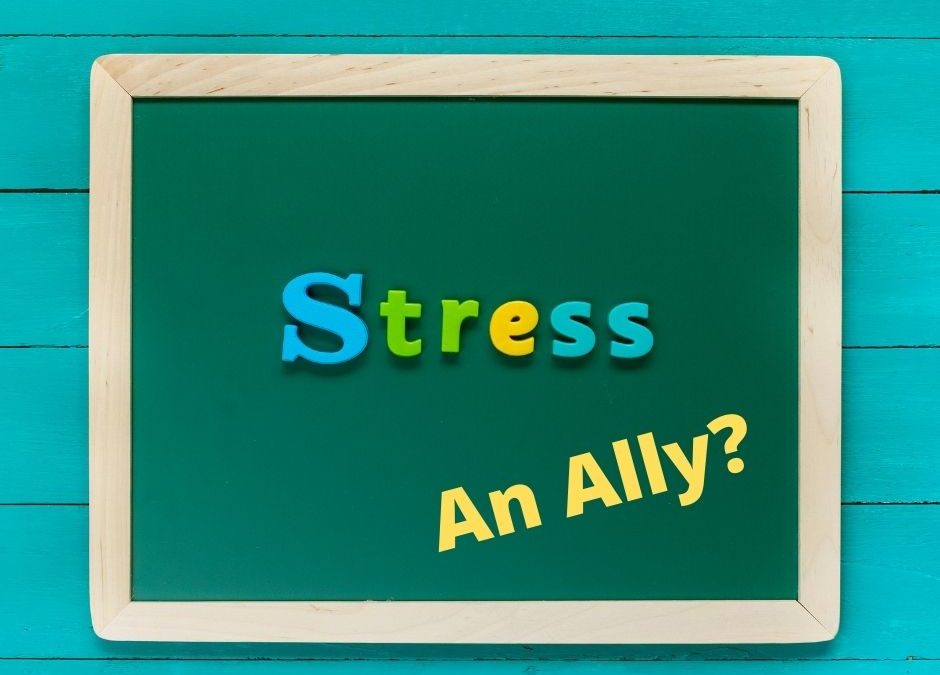 The Paradox of Stress; the Benefits of Making Stress an Ally