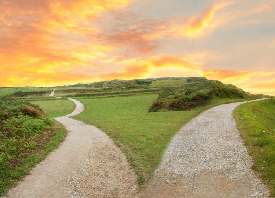 Choosing to Take the High Road for Our Actions