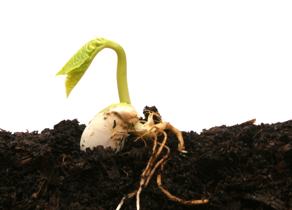 Stress is an Inspiring Topic that can use a New Spring “Make-Over.”